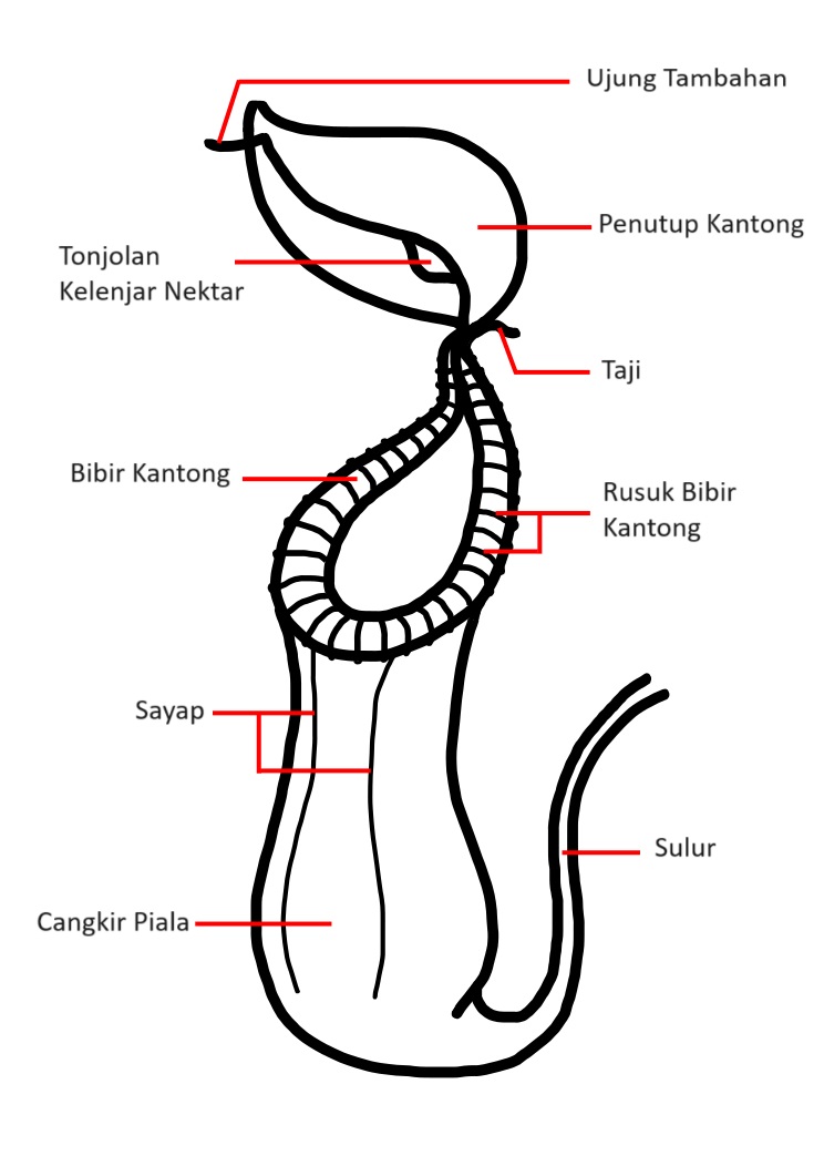 Lihat gambar