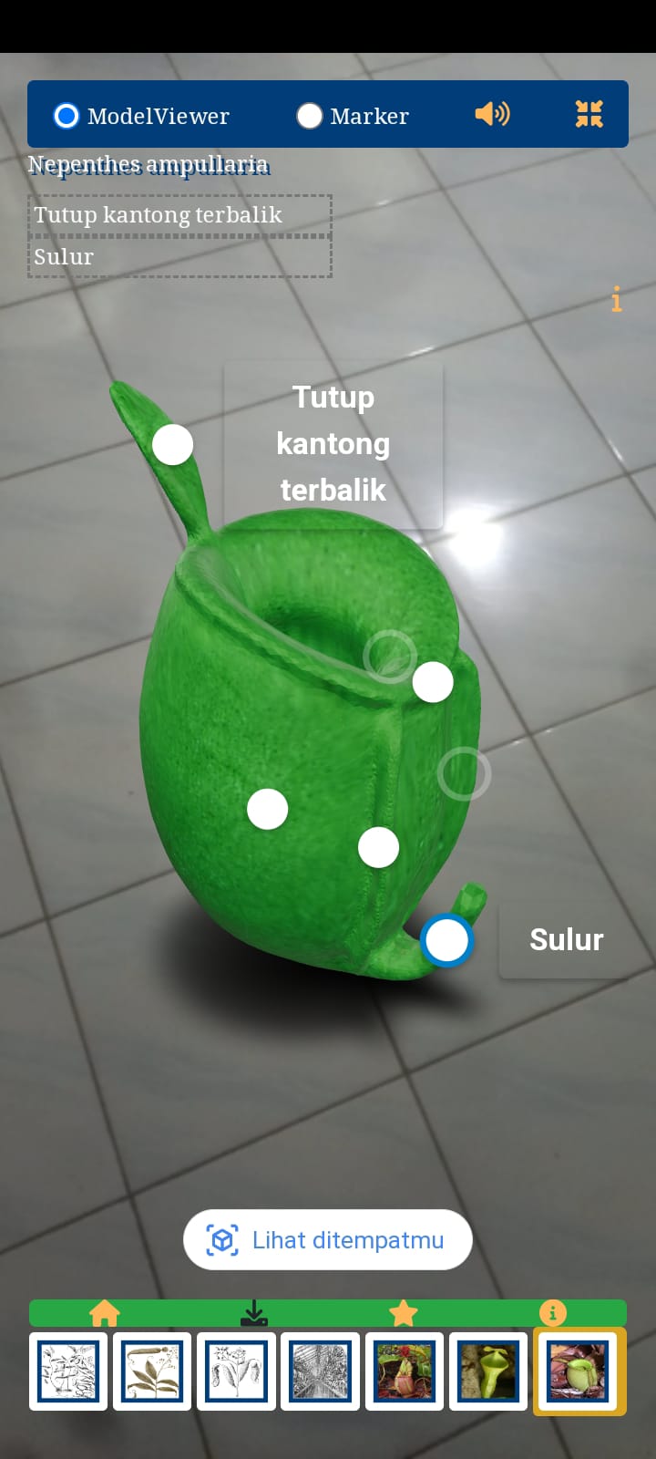 Model Viewer - Hotspot